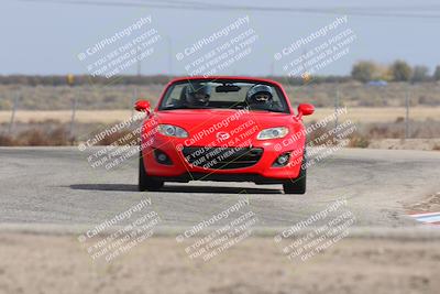 media/Nov-02-2025-Lotus Club of SoCal (Sun) [[dc384ab7f7]]/Novice Group/Cotton Corners/